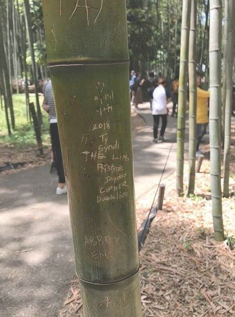 사진은 2018년의 대나무 숲 낙서 피해. 교토 지역 관련 웹미디어 교토피 캡처