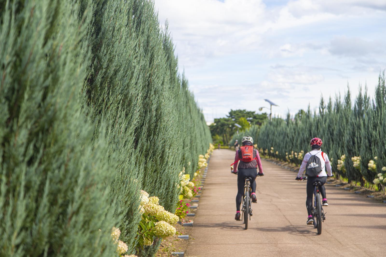 구리 한강시민공원은 서울에서 가장 가까워 자전거 여행자들이 많이 찾는 꽃 여행지다. 경기관광공사 제공