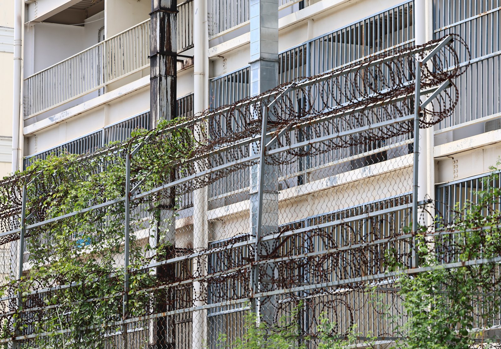 최근 캄보디아에서 한국인 대상 취업사기 및 감금 사건 등 각종 범죄에 연루되는 사례가 잇따르고 있다. 사진은 15일(현지시간) 캄보디아 프놈펜 주요 범죄 단지로 알려진 원구 단지. 뉴스1DB