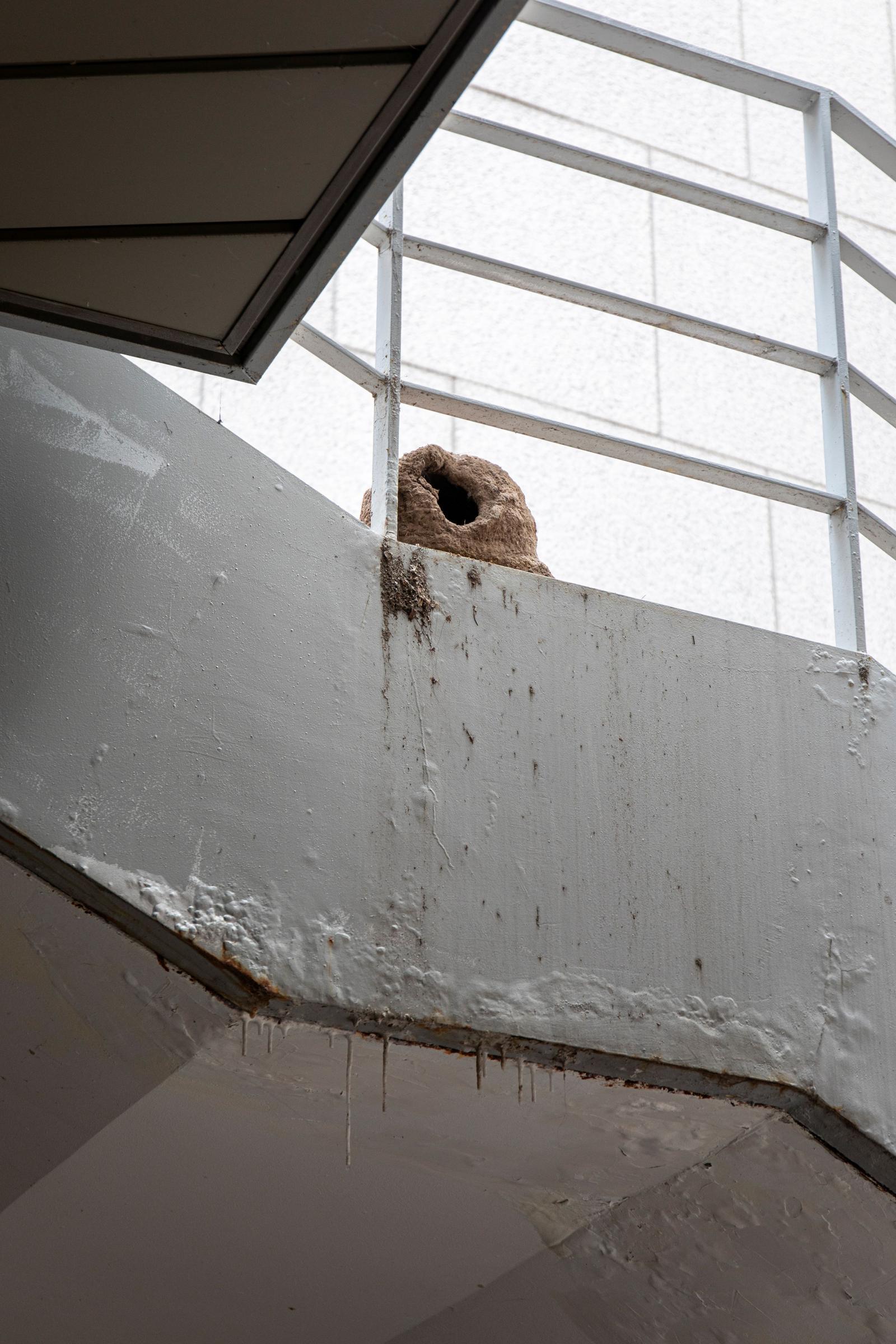 《아드리안 비야르 로하스 적군의 언어》 설치 전경. 사진 남서원. 제공 아트선재센터. ⓒ 2025. Art Sonje Center all rights reserved.