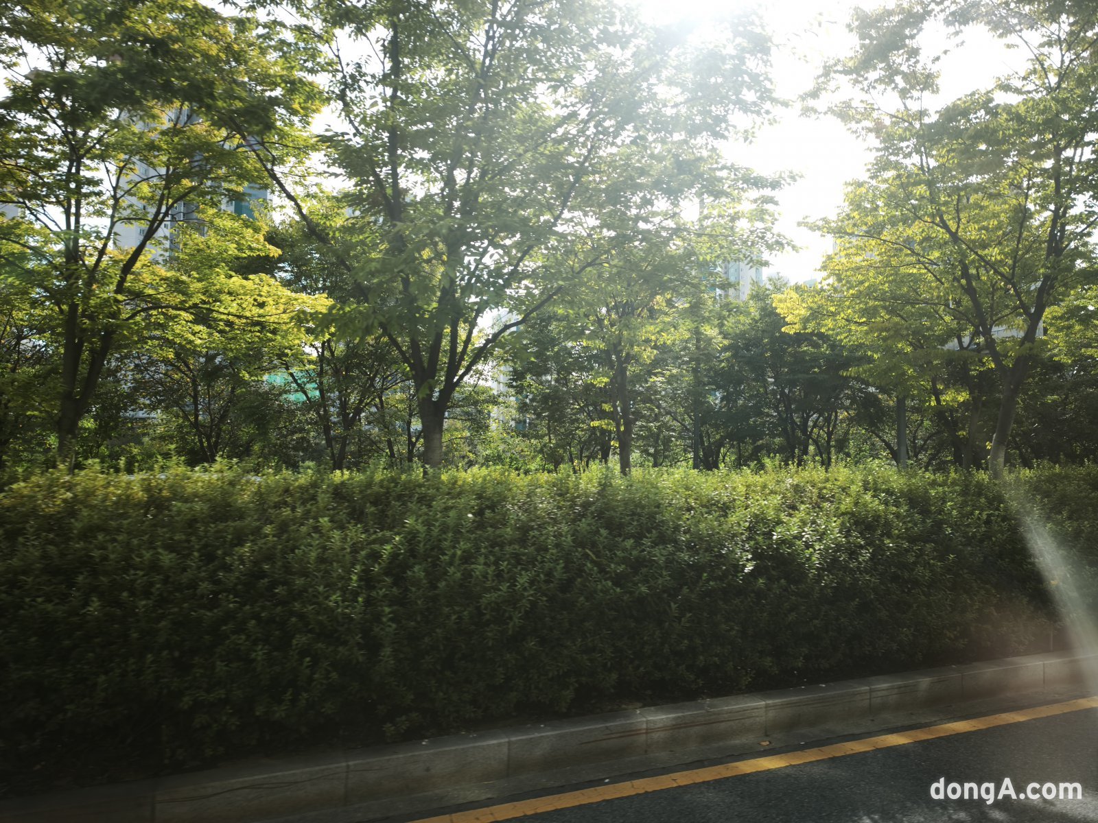 샤오미 15T 프로로 직접 찍은 사진 샘플.