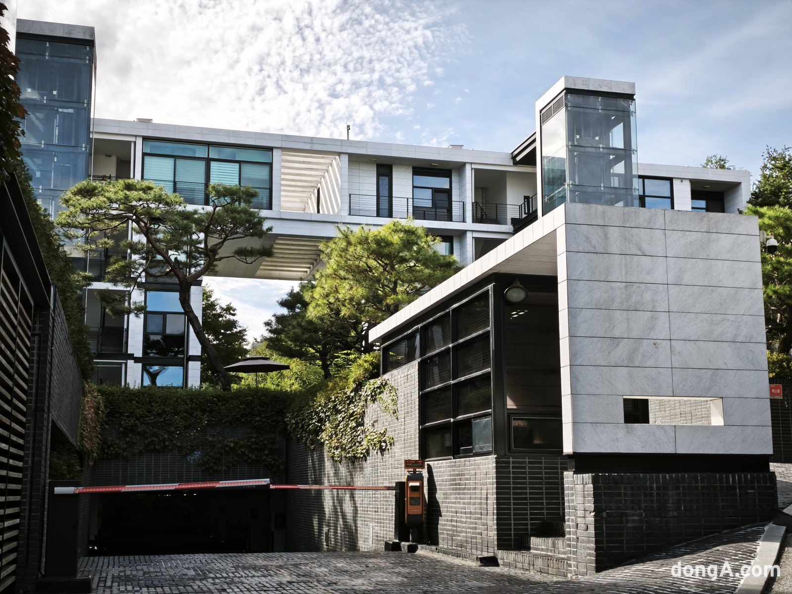 샤오미 15T 프로로 직접 찍은 사진 샘플.