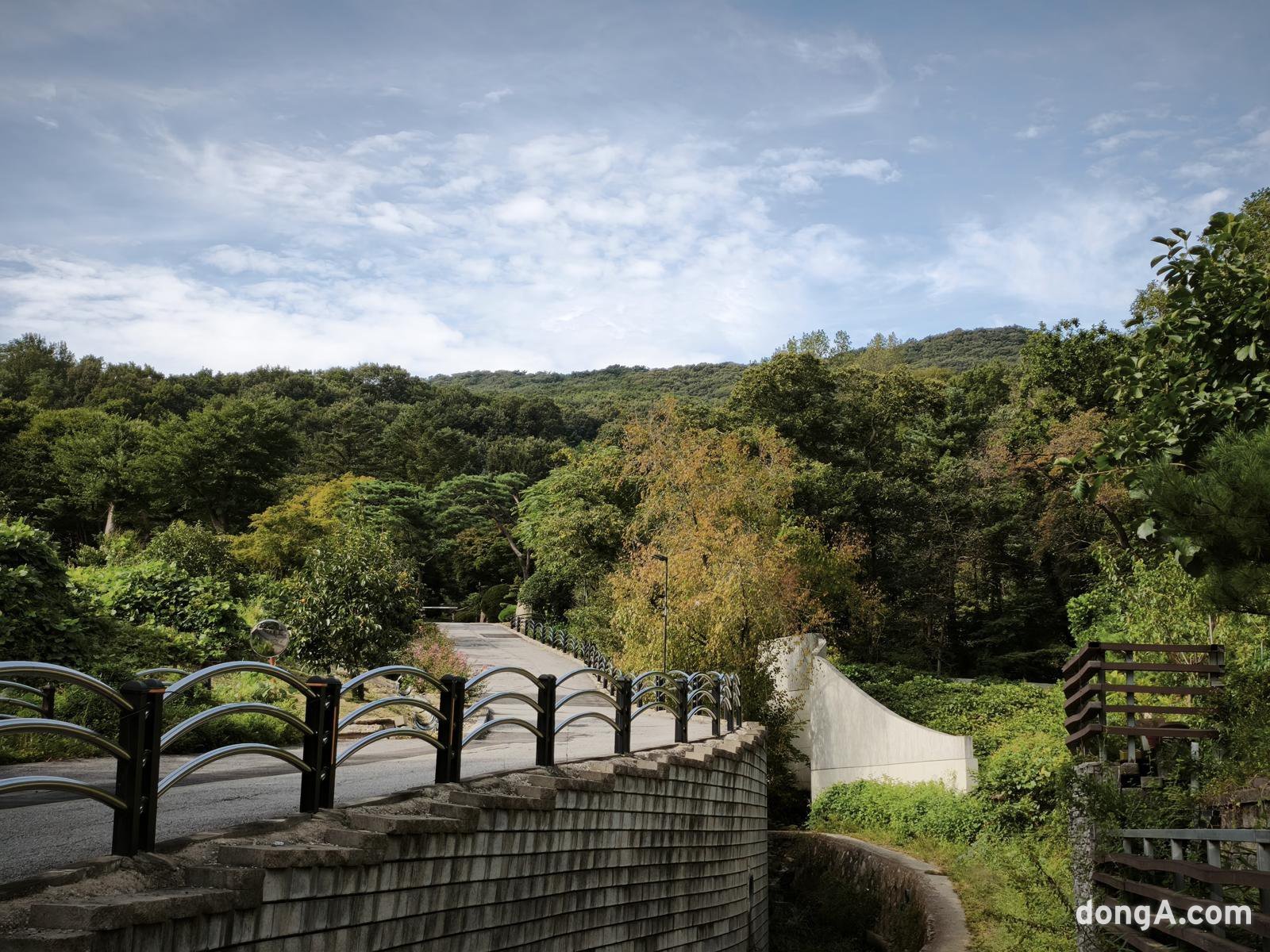 샤오미 15T 프로로 직접 찍은 사진 샘플.