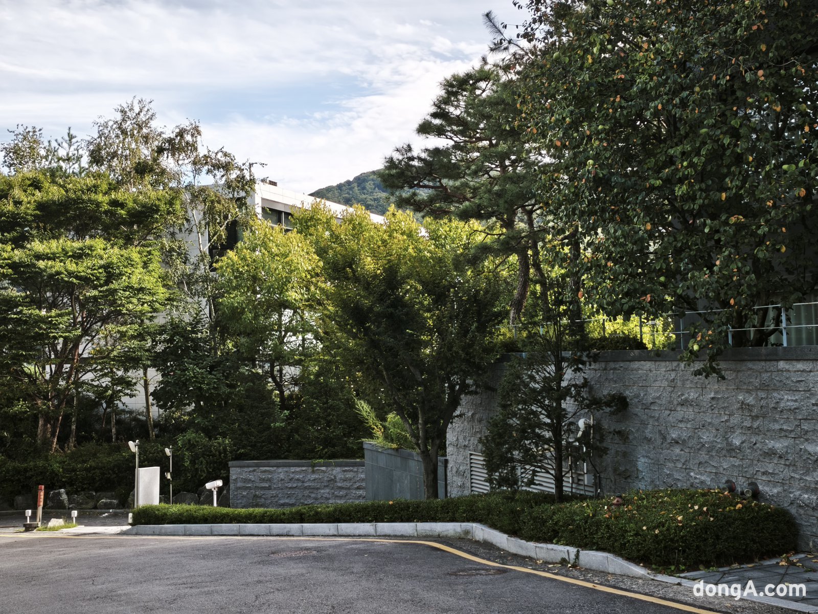 샤오미 15T 프로로 직접 찍은 사진 샘플.