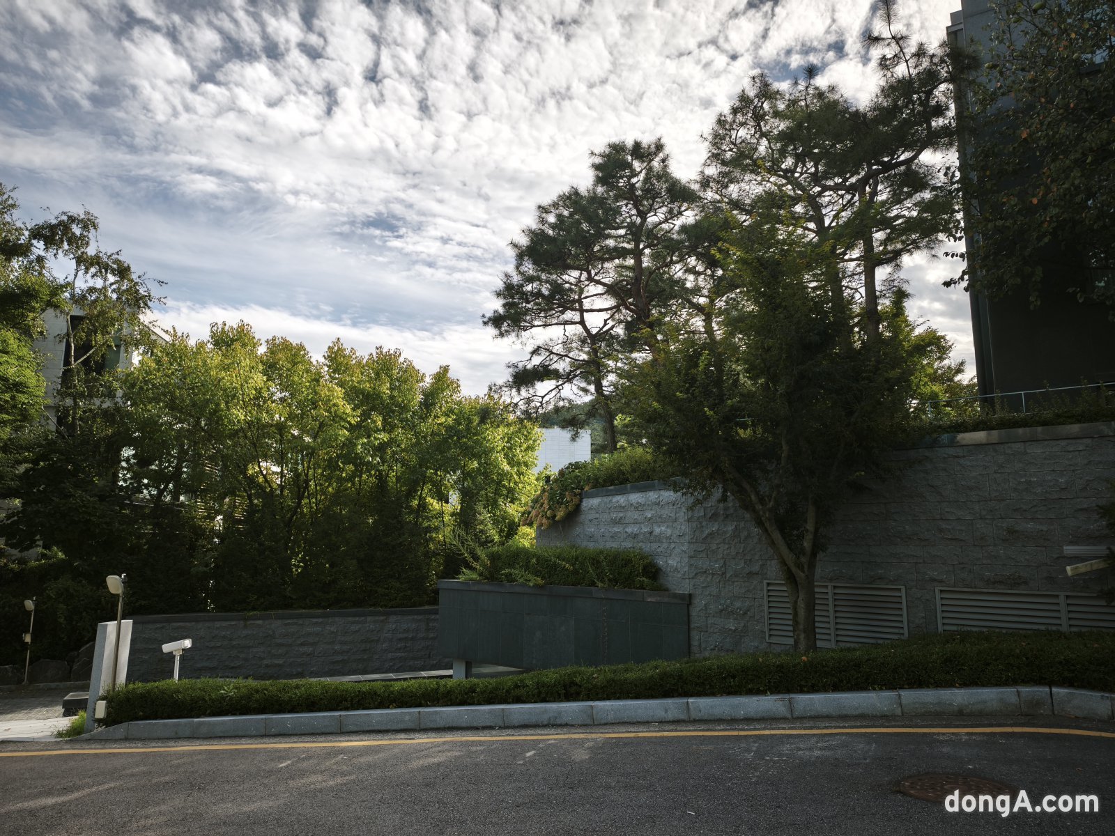 샤오미 15T 프로로 직접 찍은 사진 샘플.