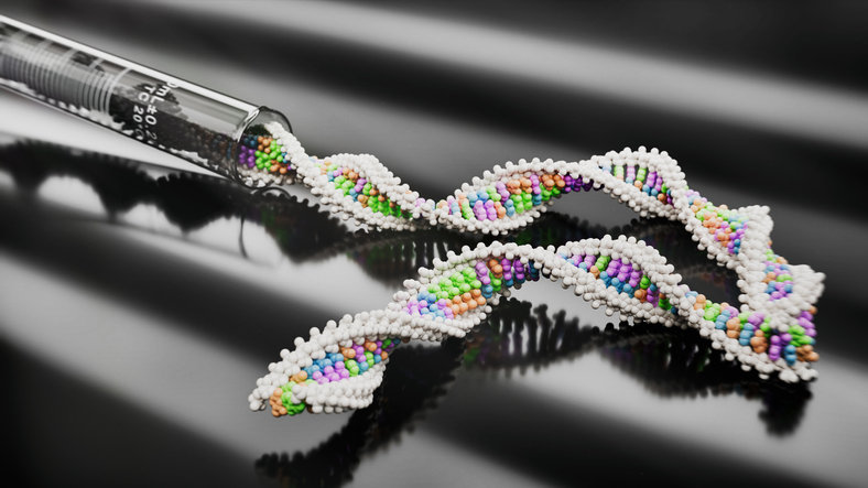 사진=게티이미지코리아.