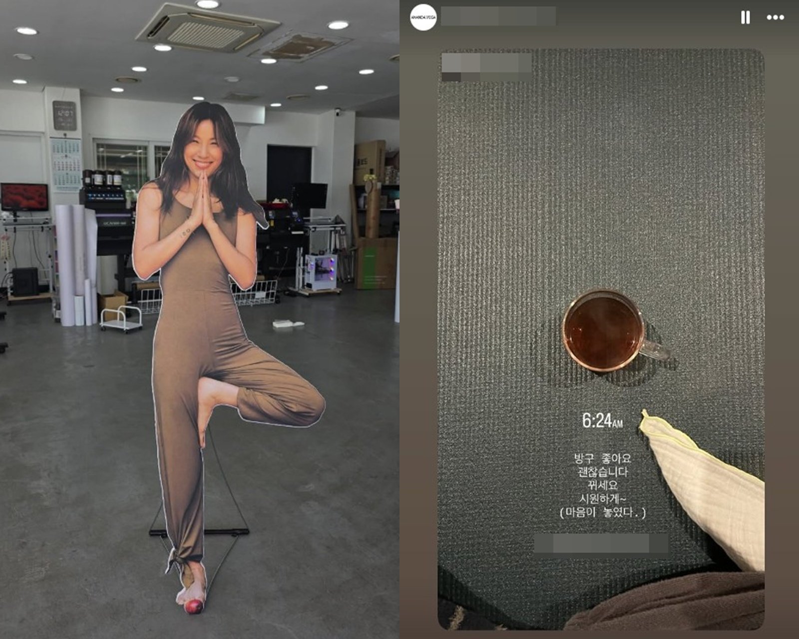 사진=아난다효리 SNS 캡처
