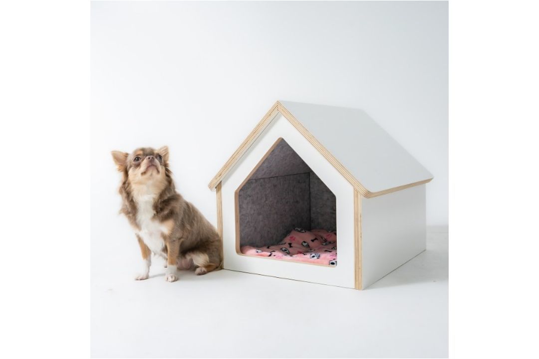 펫하우스에 IoT 센서 모듈을 결합해 반려동물의 생체 지표와 함께 온·습도, 공기질, 조도 등 환경 지표를 자동 수집한다 / 출처=케어포유