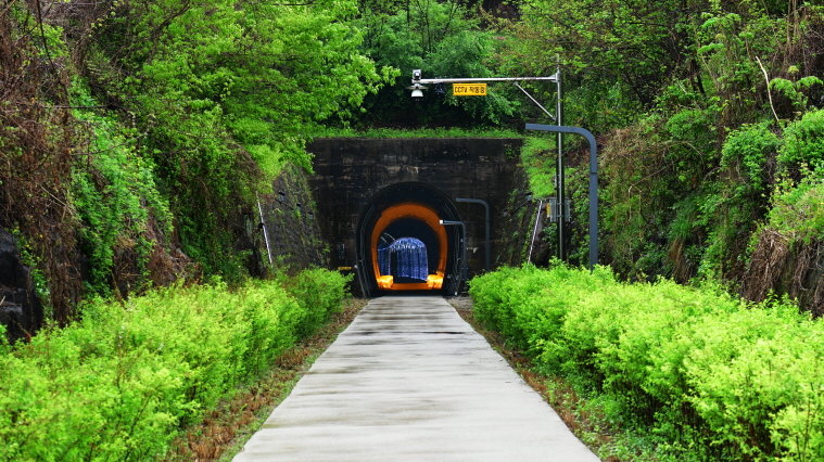 원주시 치악산 바람길숲의 원주터널 입구. 내부에는 다양한 조명이 설치돼 색다른 분위기를 연출한다. 원주시 제공
