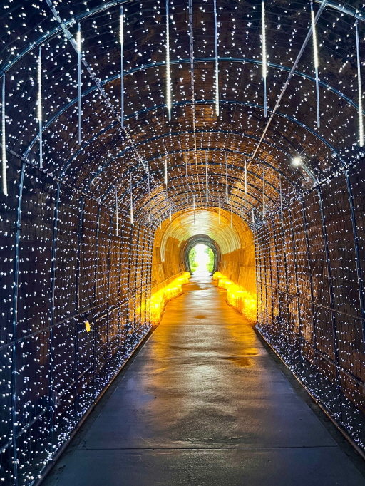 원주시 치악산 바람길숲의 원주터널 구간. 터널 내부가 은하수 조명으로 꾸며져 있다. 원주시 제공