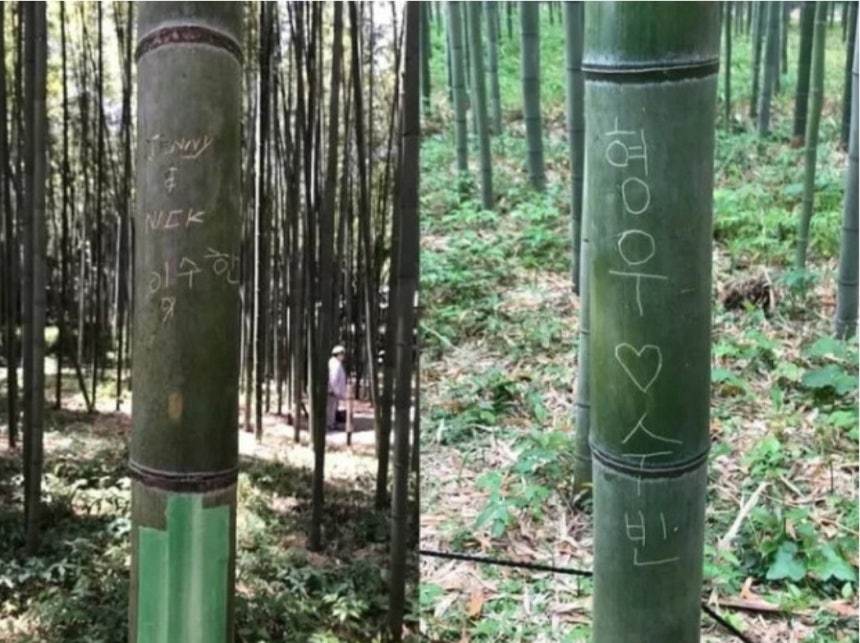 사진=서경덕 교수 제공