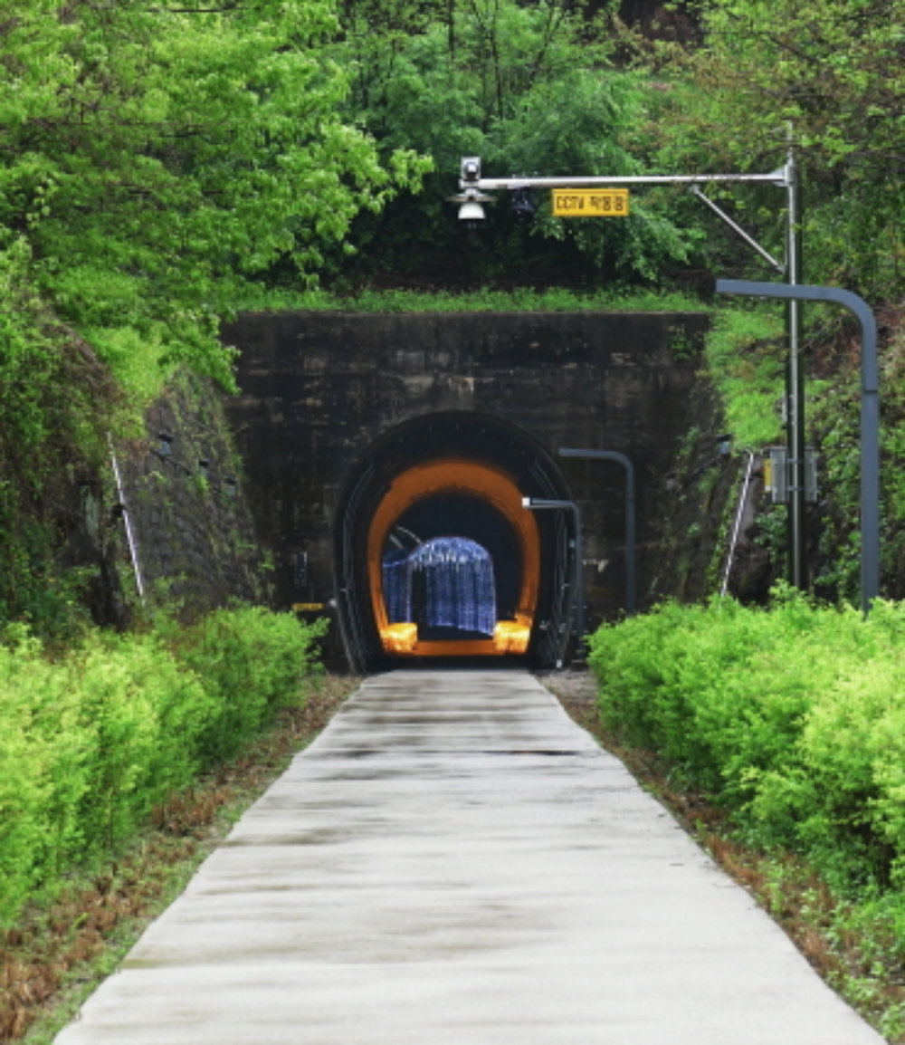 원주시 치악산 바람길숲의 원주터널 입구. 내부에는 다양한 조명이 설치돼 색다른 분위기를 연출한다. 원주시 제공