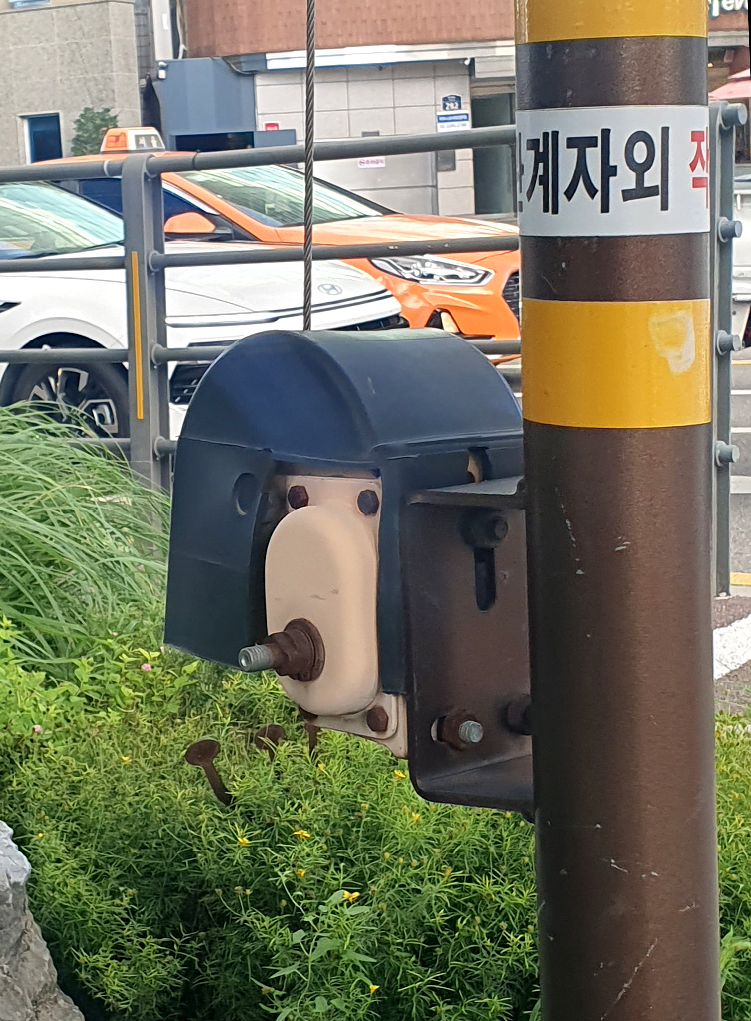 “수고했어요”[고양이 눈]