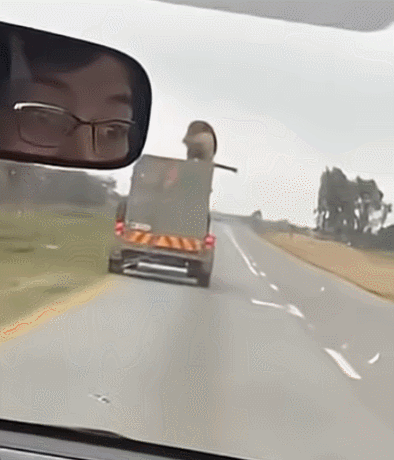 소셜미디어 영상 갈무리