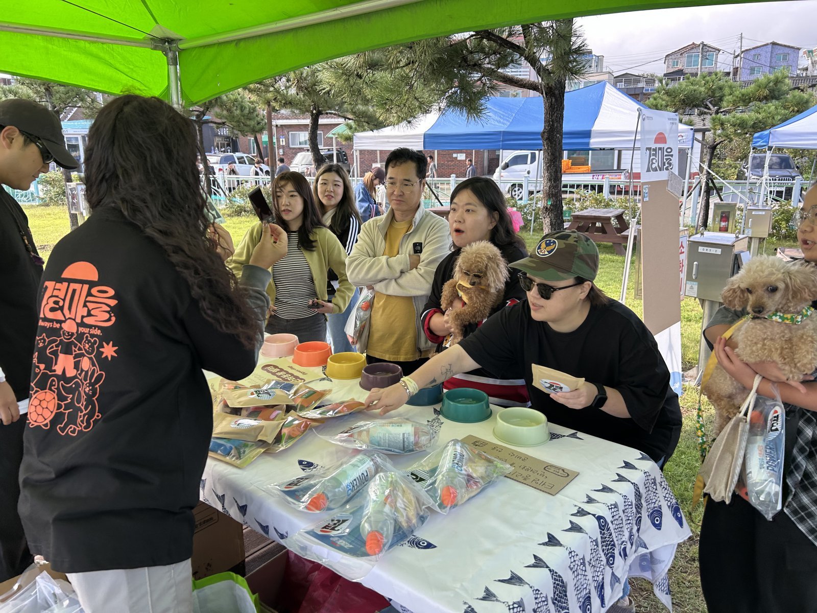 ‘고성 곁마을’은 공존과 반려문화를 바탕으로 청년 정착과 지역 활력 증진을 넘어, 지속 가능한 지역 공동체를 조성하는 것을 목표로 한다. 고성 곁마을 제공