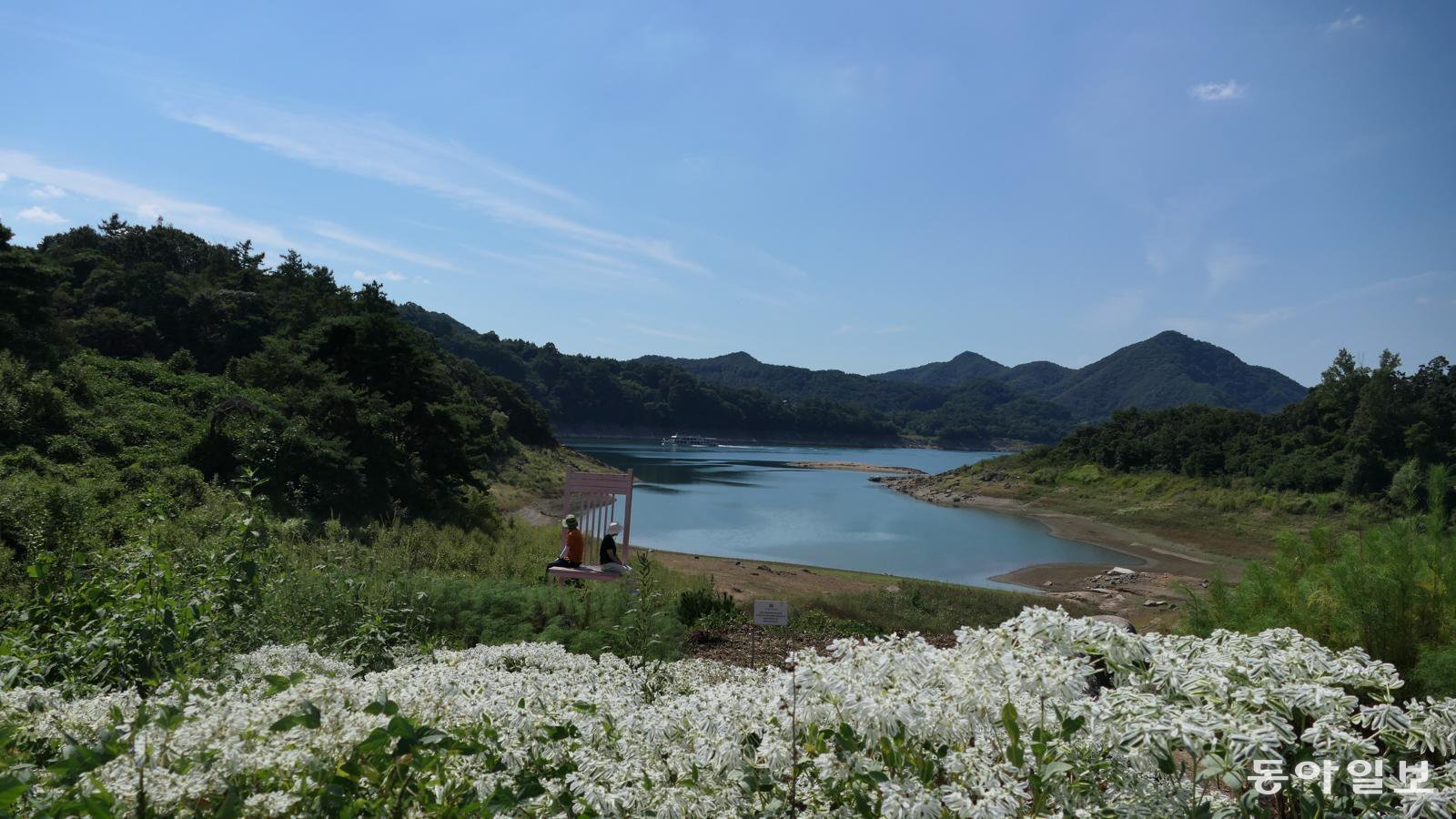 땅은 비봉산 남동쪽 옥순봉로 앞까지 물을 끌어들였다.  담긴 물 모양이 한반도를 연상케 한다.