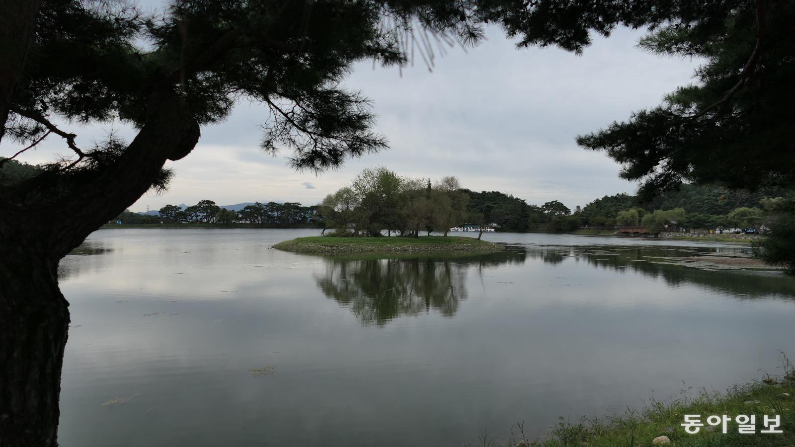 지금도 논에 물을 대고 있는 의림지. 가운데 순주섬에서는 제천 사람들이 나물 무쳐 먹는 순채가 난다.