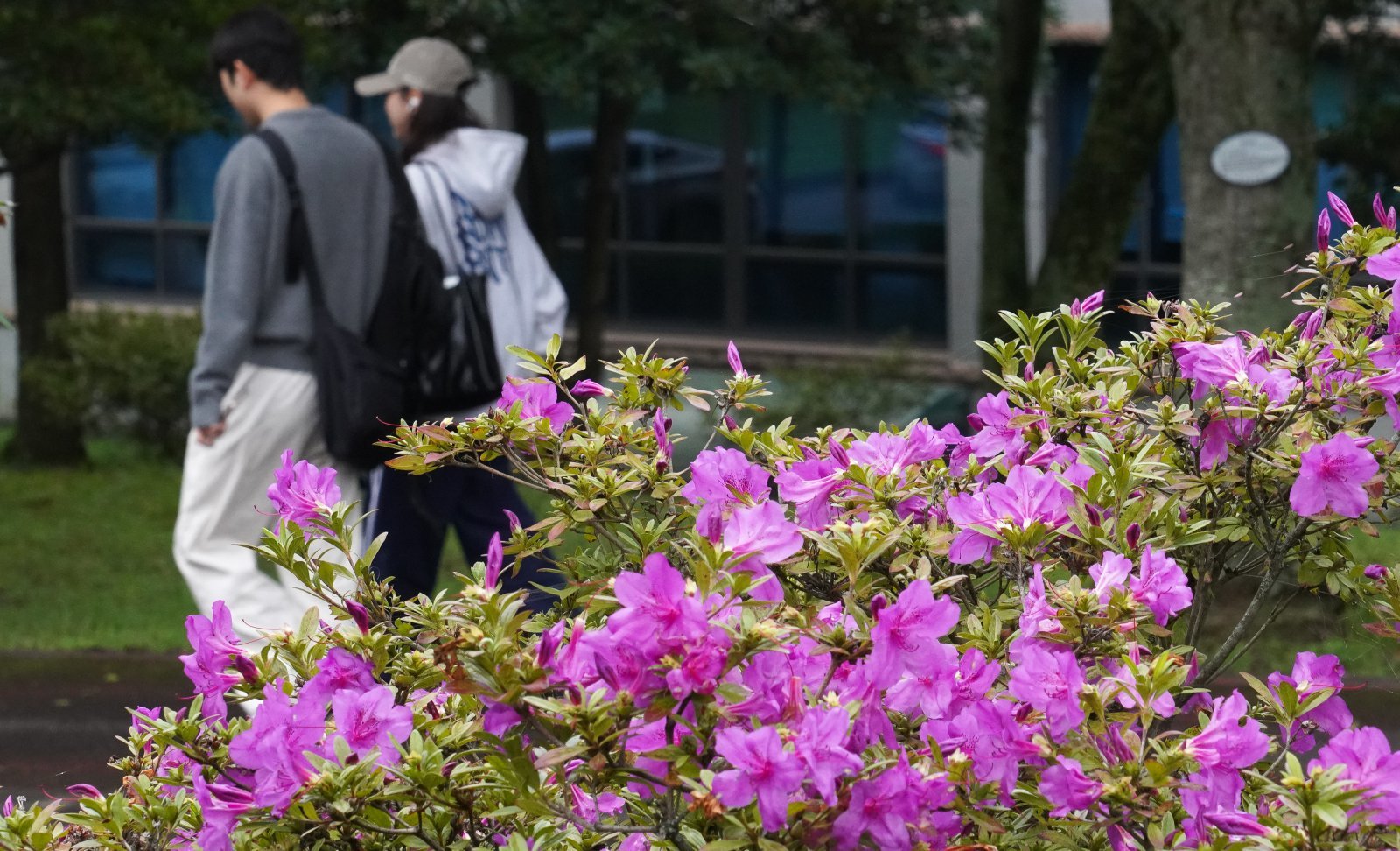 올 가을 들어 가장 쌀쌀한 20일 오전 제주대학교에서 외투를 챙겨 입은 학생들이 교정을 걸어가고 있다. 2025.10.20. 제주=뉴시스