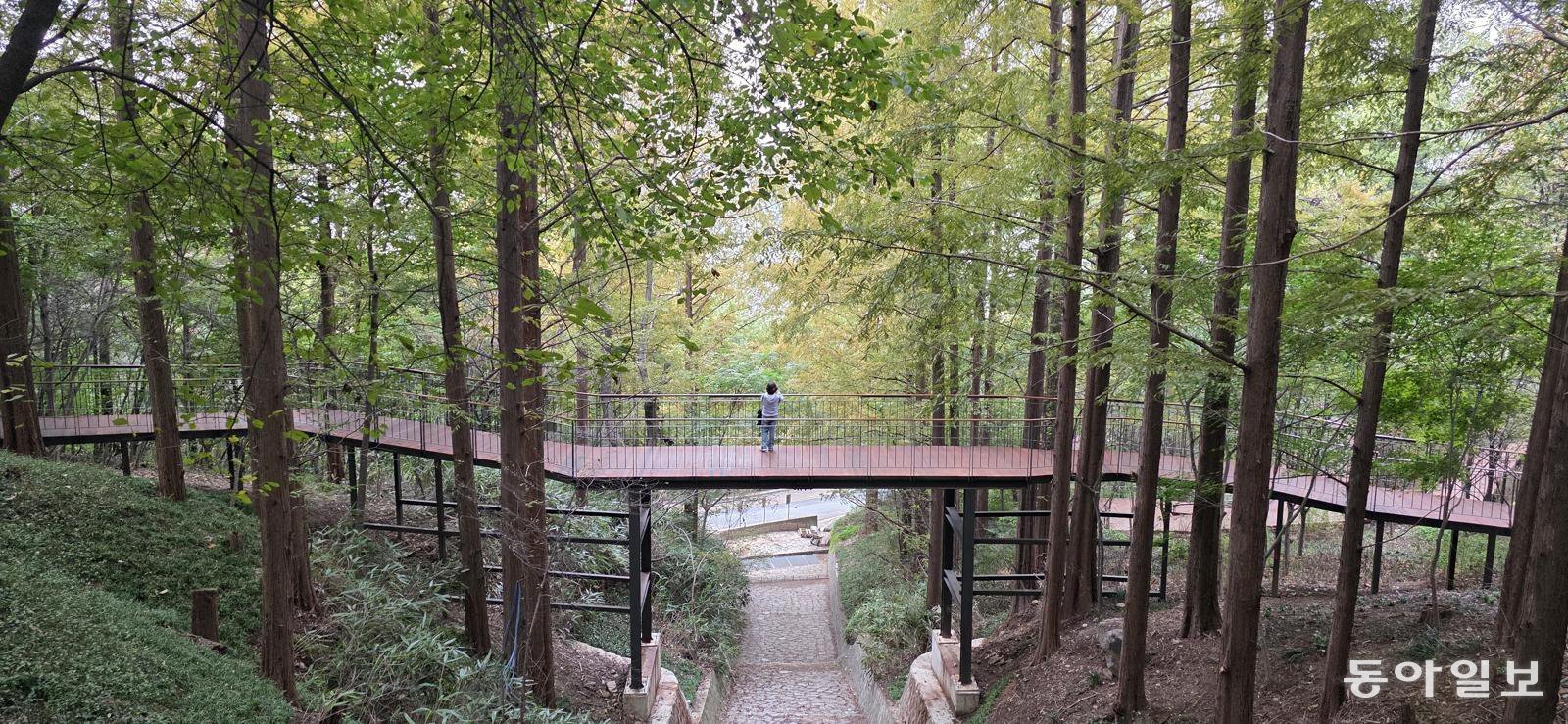 도심과 자연을 잇는 남산하늘숲길. 김선미 기자 kimsunmi@donga.com