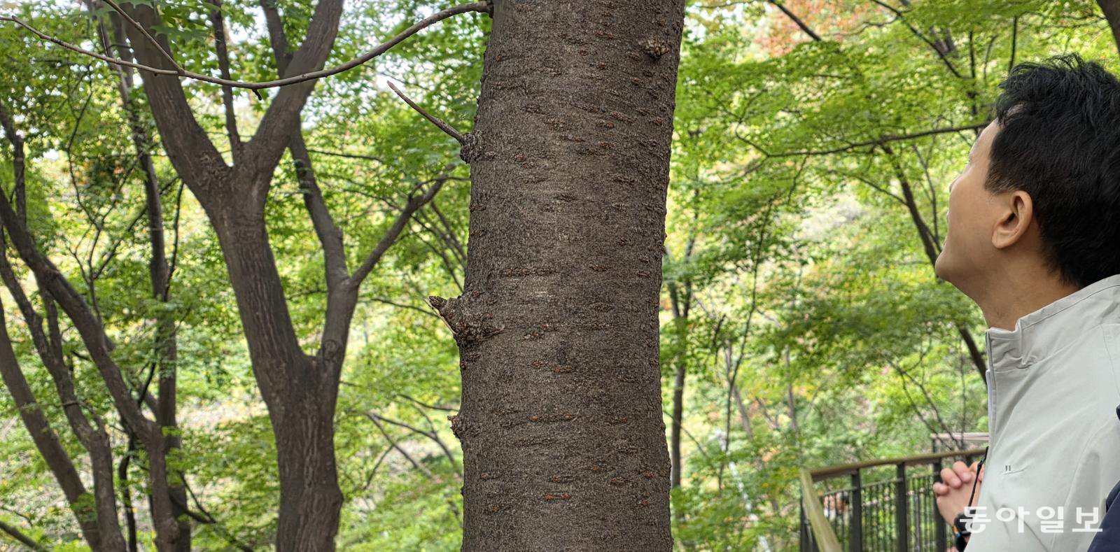 남산하늘숲길에서 오세훈 서울시장. 김선미 기자 kimsunmi@donga.com