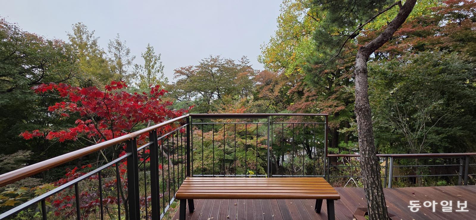 호젓하게 도심을 내려다볼수 있는 남산하늘숲길. 김선미 기자 kimsunmi@donga.com