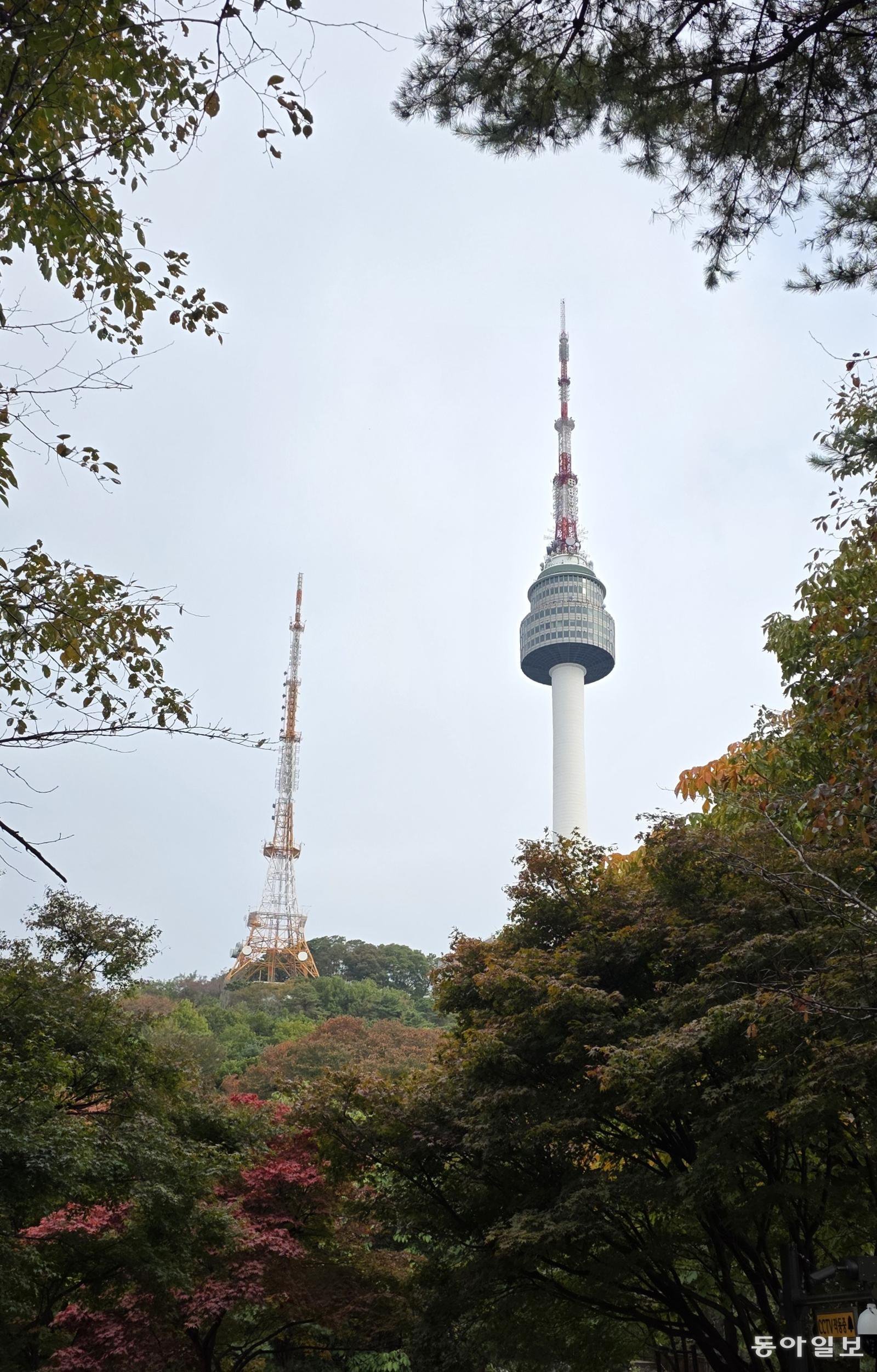단풍이 들기 시작한 남산. 김선미 기자 kimsunmi@donga.com