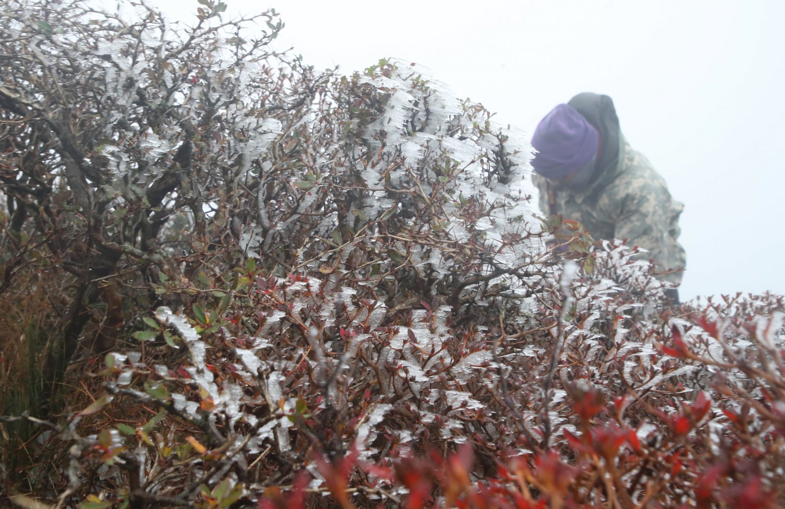 제주 한라산 상고대. 뉴스1