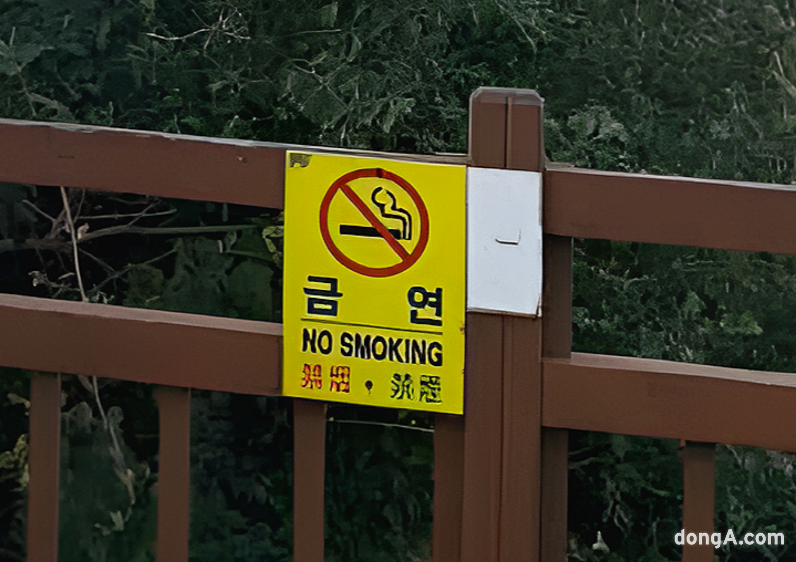 현장에 있던 금연 표지판. 한국어, 영어, 중국어로 써있다. 사진=독자제공, 최강주 기자 gamja822@donga.com