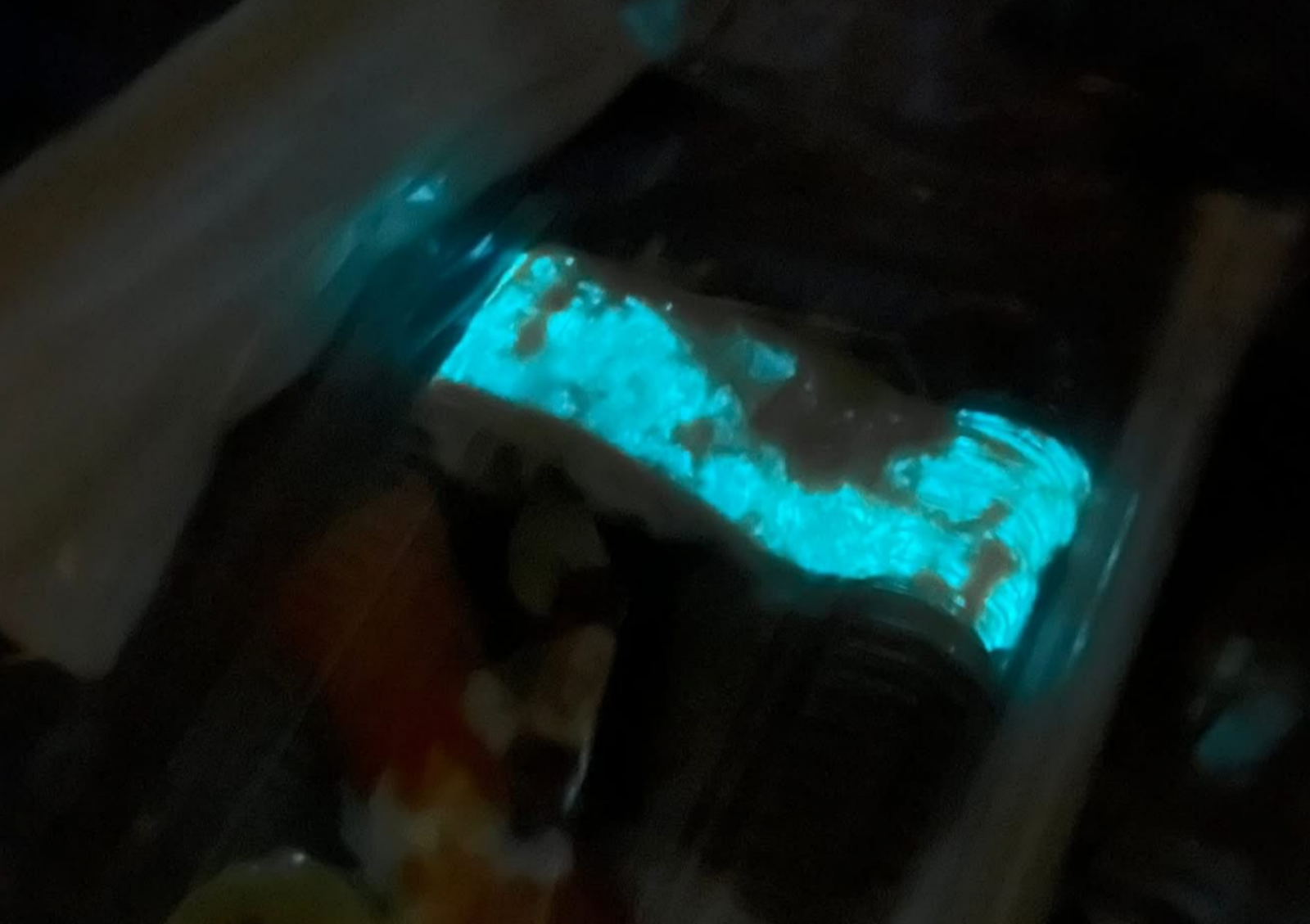 어둠 속에서 빛나는 초밥. 사진=페이스북 @MildBurusskorn