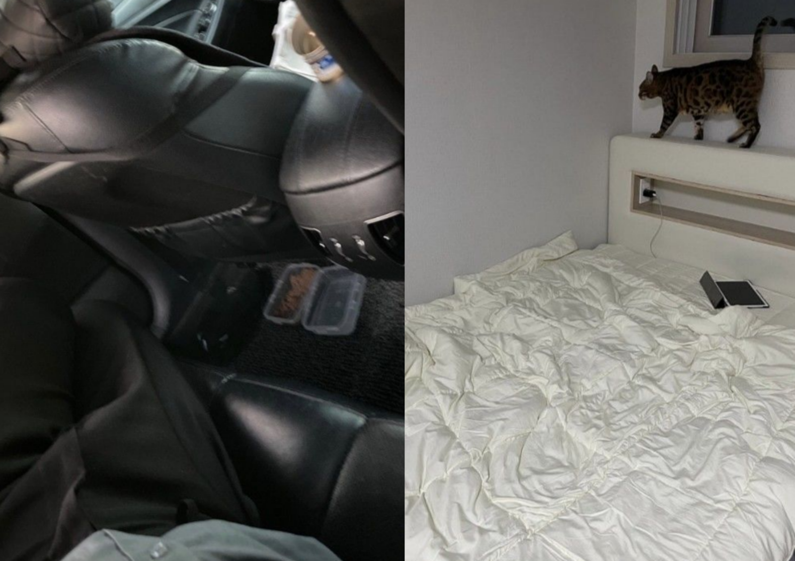 (좌) 전세사기를 당한 20대 남성이 고양이와 함께 차에서 생활하는 모습, (우) 남성이 입주한 청년 매입임대주택 내부 모습. ⓒ 뉴시스