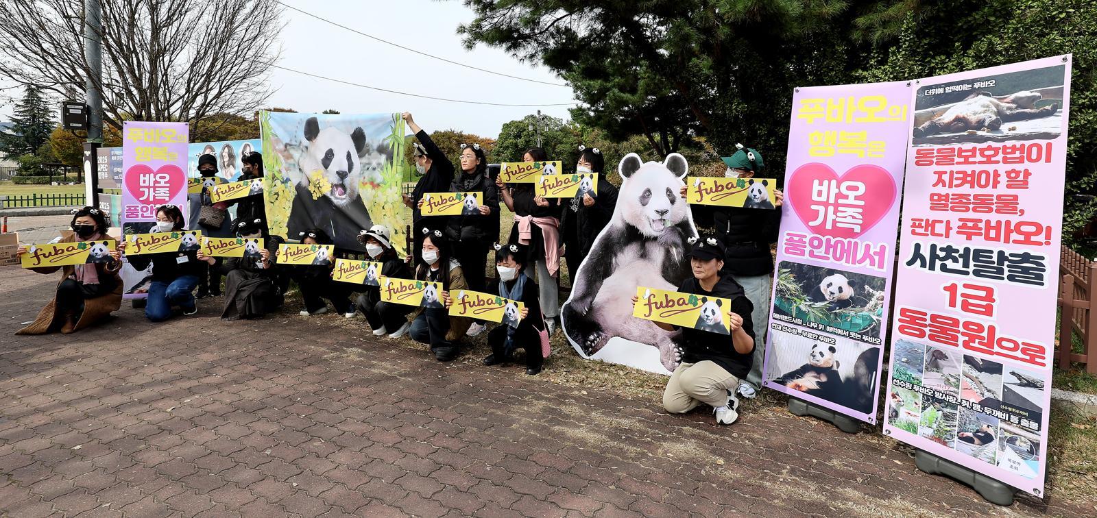 30일 경북 경주시 황남동 내남네거리에서 열린 푸바오의 사육환경 개선을 요구하는 기자회견에서 ‘푸바오구출대작전’ 회원들이 “푸바오 돌아와”를 외치고 있다. 2025.10.30. 경주=뉴시스