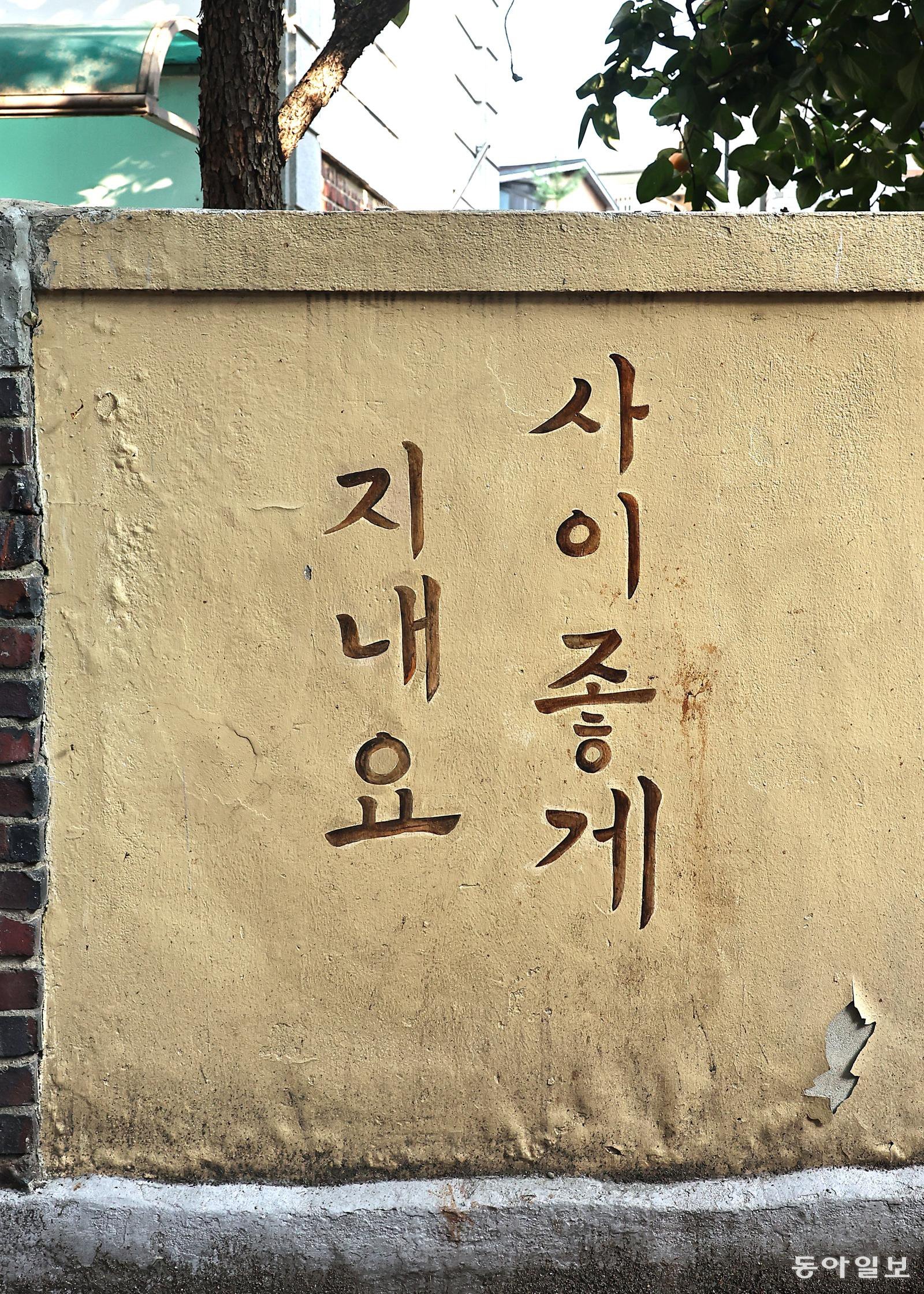 [고양이 눈]다정한 담벼락