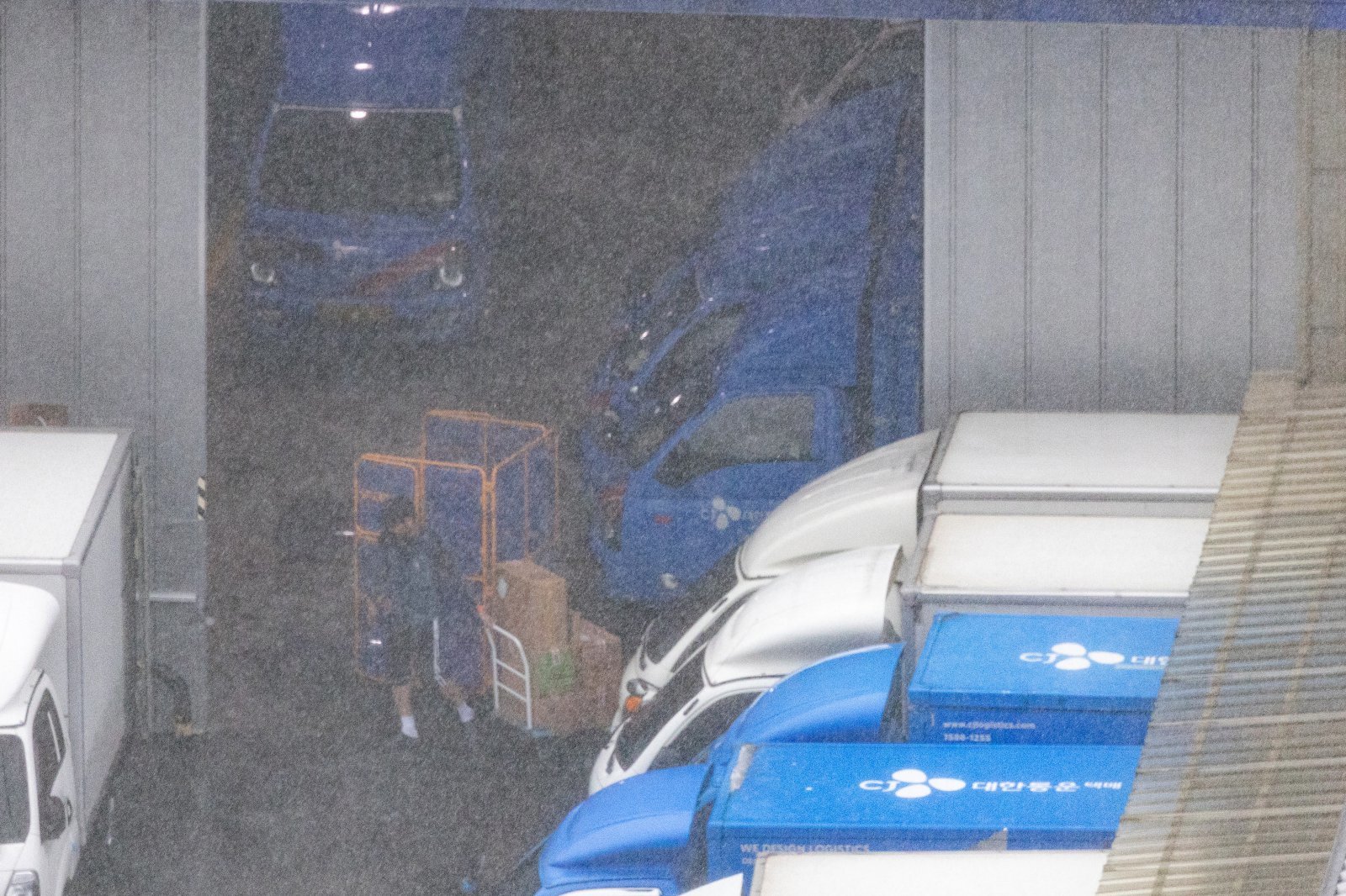 택배 없는 날을 하루 앞둔 지난 8월 13일 경기 부천시의 한 택배 물류센터의 모습. 2025.8.13 뉴스1