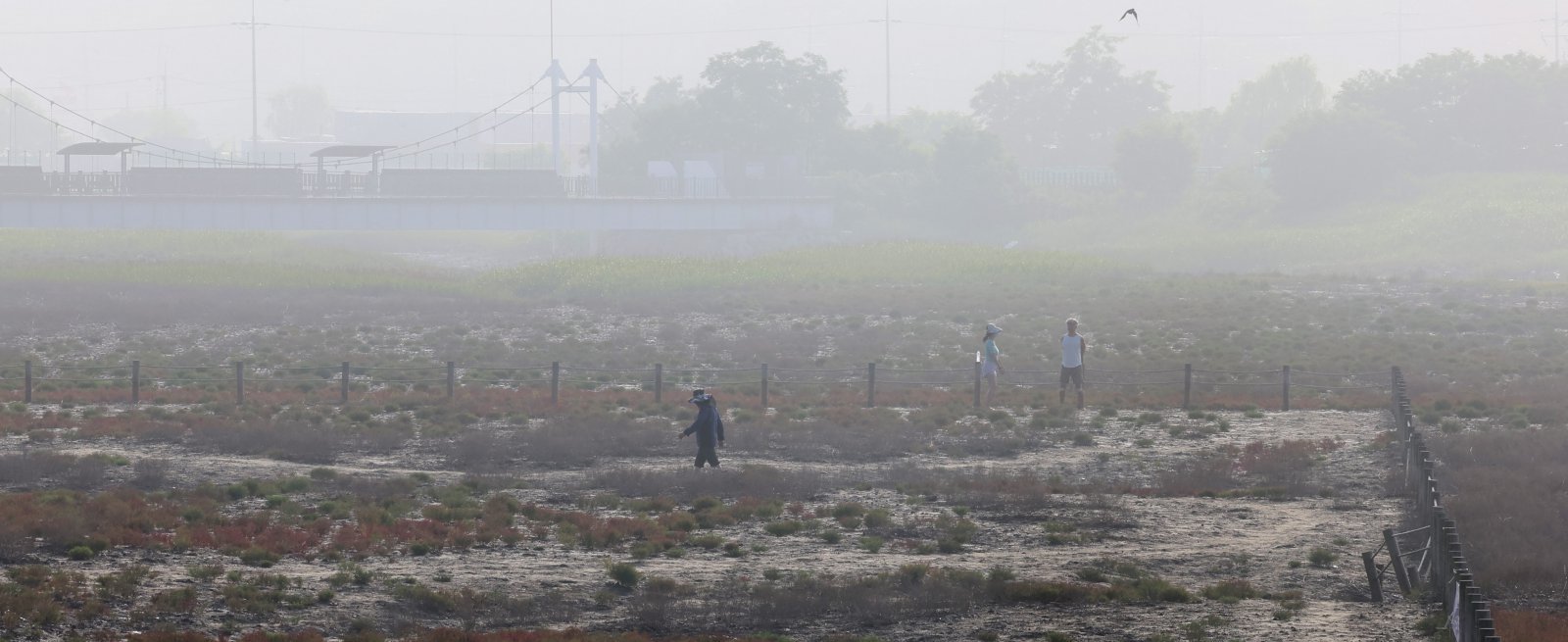 전국 내륙과 서해안 등을 중심으로 안개가 낀 23일 오전 인천 남동구 소래생태습지공원에서 시민들이 산책을 하고 있다.  2025.06.23. [인천=뉴시스]