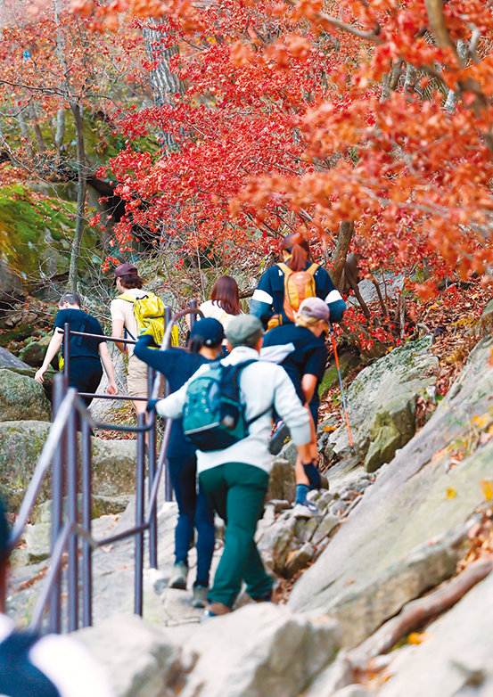 등산 등 가을철 야외 활동 시 낙상이나 벌 쏘임 등 안전사고를 조심해야 한다.  뉴스1