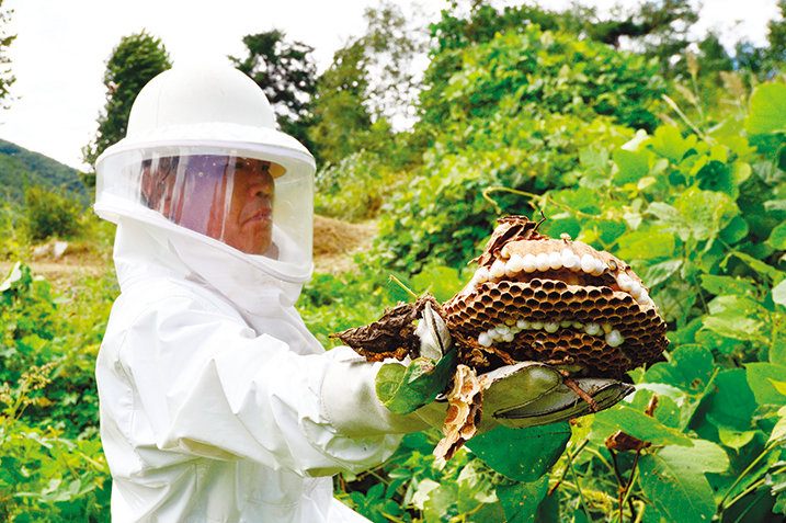 등산 등 가을철 야외 활동 시 낙상이나 벌 쏘임 등 안전사고를 조심해야 한다.  뉴스1