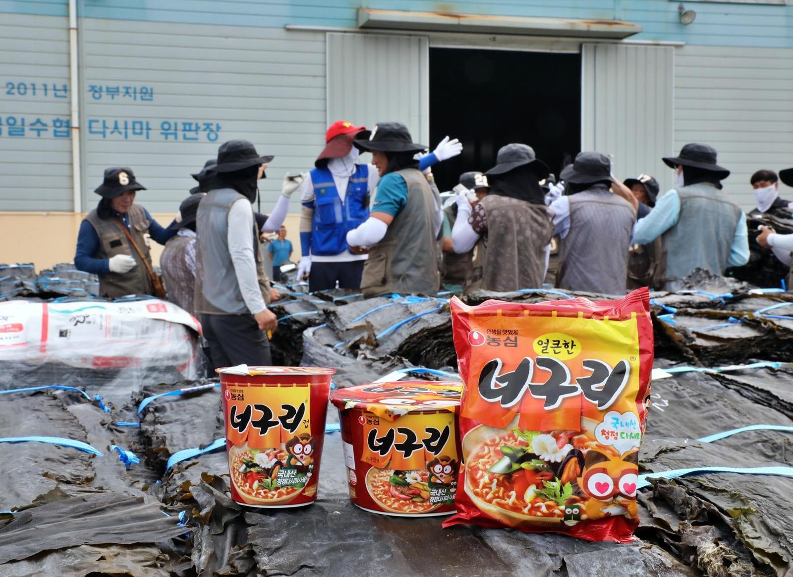 전남 완도군 완도금일수협 다시마 위판장에서 다시마 경매가 진행되고 있다. 농심 제공