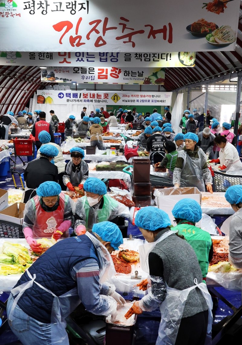 매년 급성장하고 있는 평창고랭지김장축제가 5일 개막해 13일 동안 열린다. 사진은 지난해 축제 모습. 평창고랭지김장축제위원회 제공