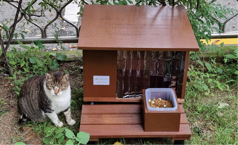 새로 설치된 길고양이 공식 급식소. 서초구 제공