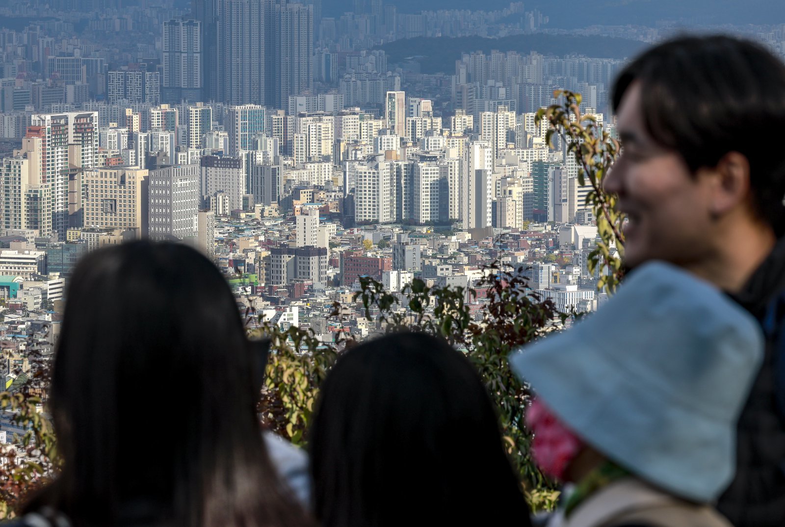 2일 서울 중구 남산에 서울시내 아파트가 보이고 있다.   10·15 주택시장 안정화 대책 시행 이후 열흘 동안 서울 외곽지역의 아파트 매매 거래가 뚝 끊기며 규제 직격탄을 맞은 것으로 나타났다. 토지거래허가구역 효력이 발효된 지난 20일부터 29일까지 열흘 동안 서울 아파트 매매 거래는 총 174건이 신고됐다. 규제 전 열흘(10~19일)간 거래량은 4031건으로, 아파트 매매 거래가 무려 95.7% 급감한 셈이다. 2025.11.02 뉴시스