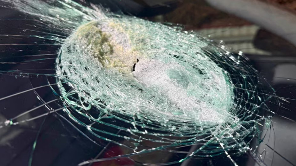 호주 ABC뉴스/앤드류 멜빌-스미스 제공