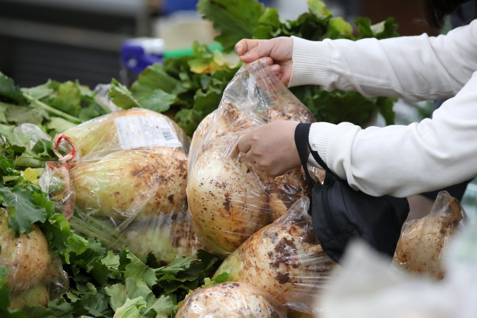 서울 서초구 하나로마트 양재점을 찾은 시민들이 장을 보고 있다. ⓒ News1