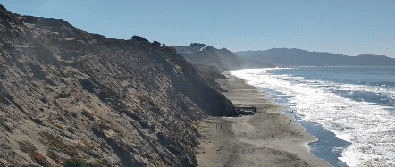 샌프란시스코 경찰국(SFPD) X 갈무리