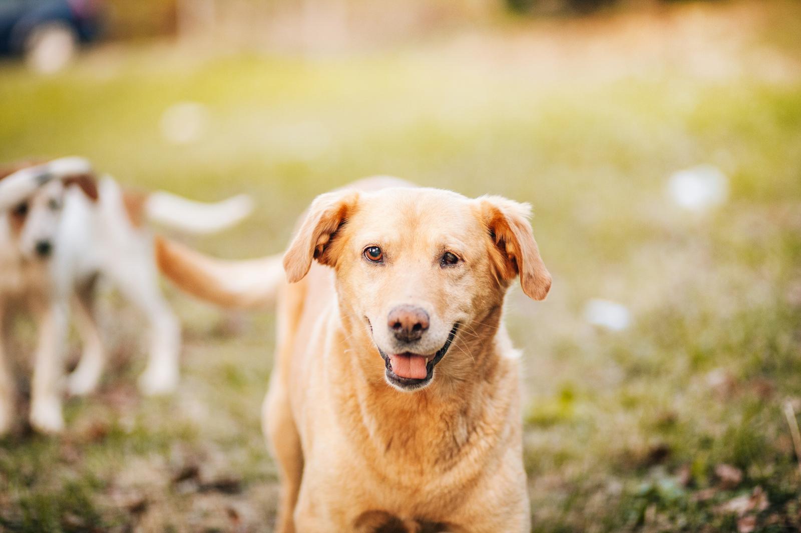 게티이미지뱅크