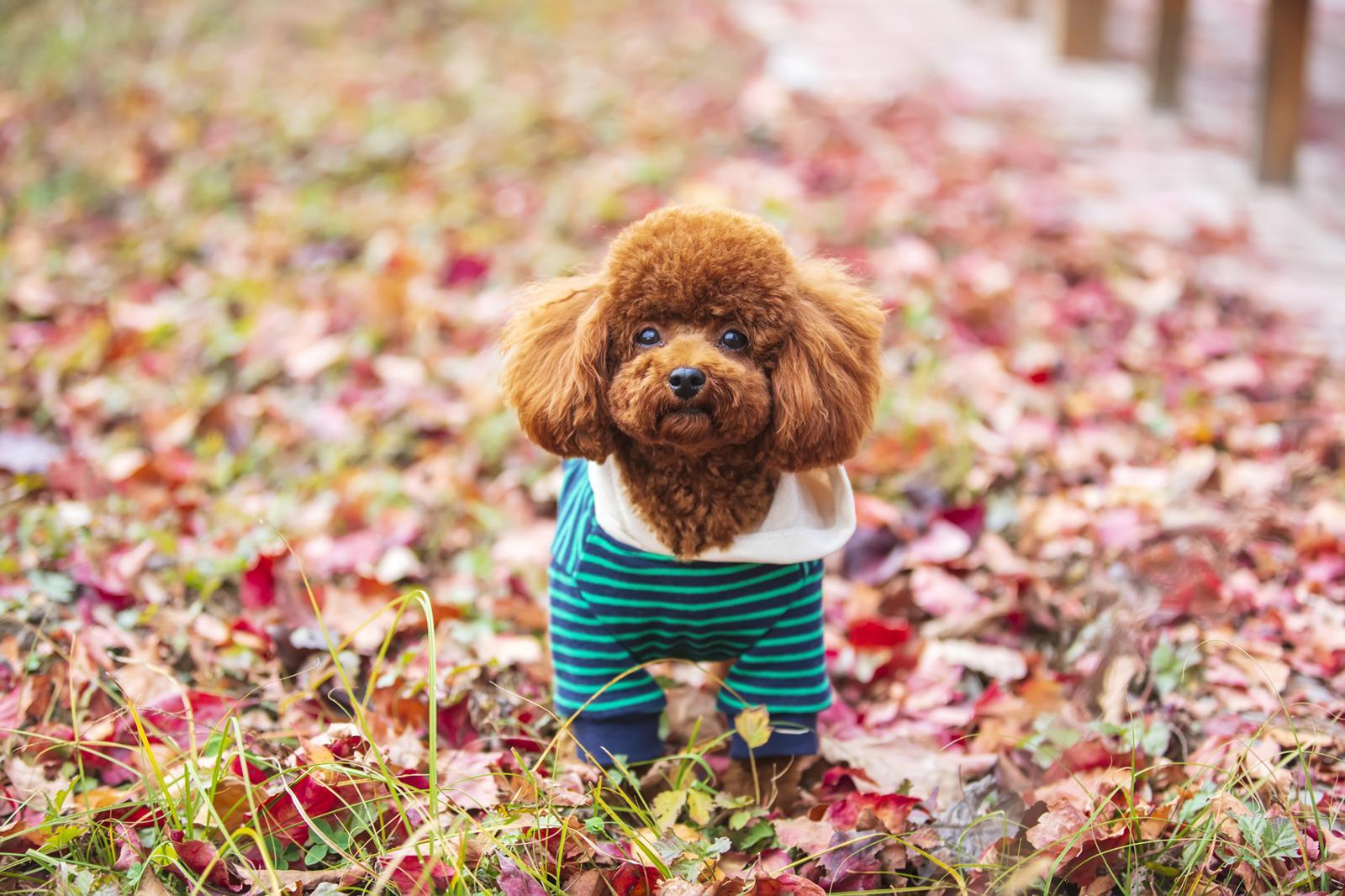 게티이미지뱅크