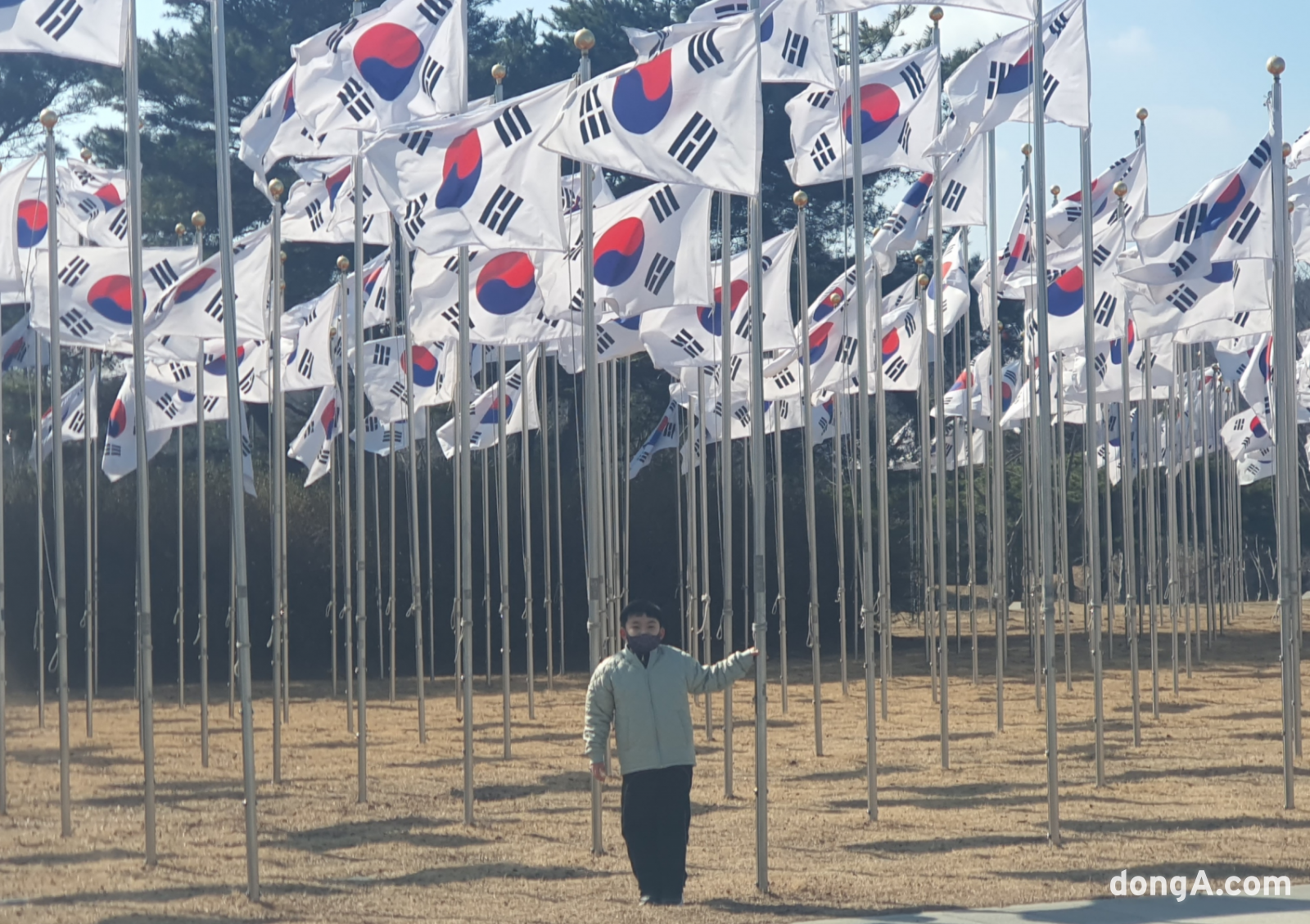 평창초등학교 4학년 김진서 군은 8살 때부터 매년 국경일마다 태극기를 단다. 그의 꾸준한 손길은 지역 시장을 애국심으로 물들이며 따뜻한 감동을 전하고 있다. 사진=독자제공, 최강주 기자 gamja822@donga.com