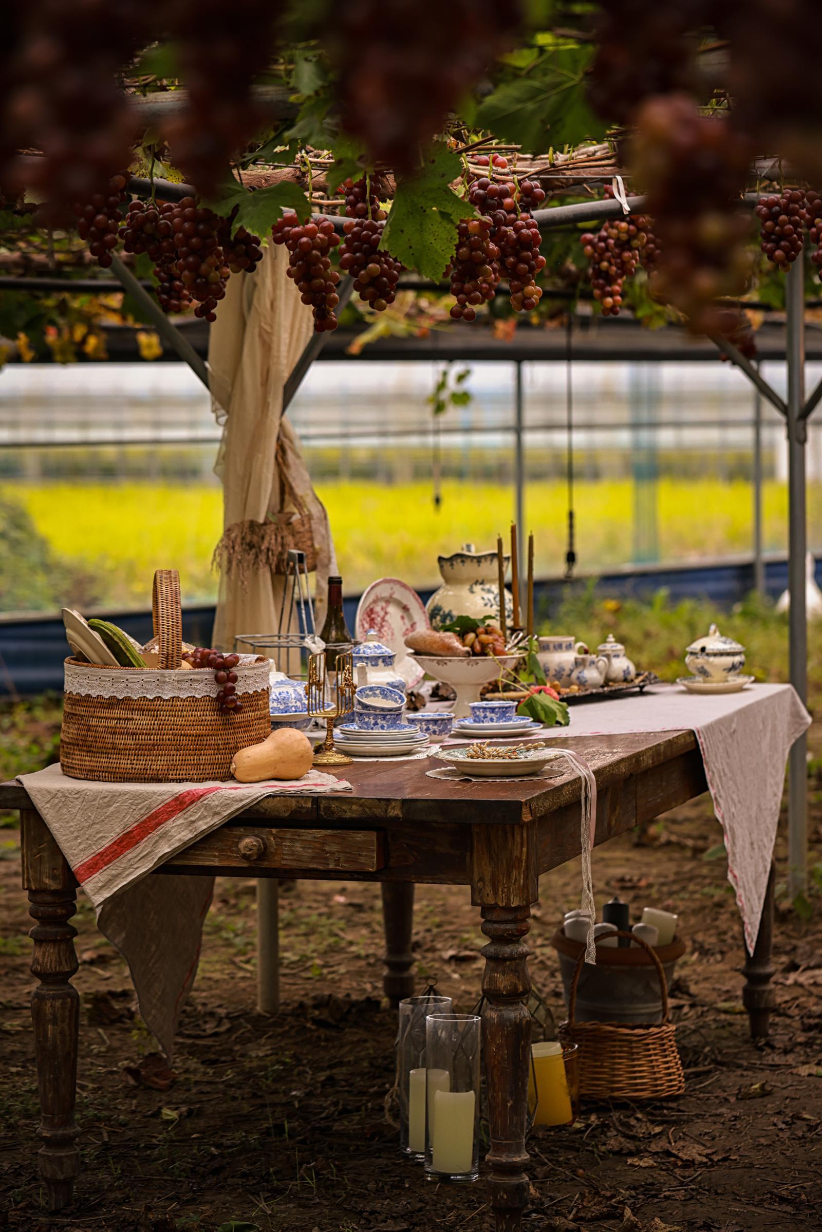 포도농장의 테이블 세팅. 포도와 제공