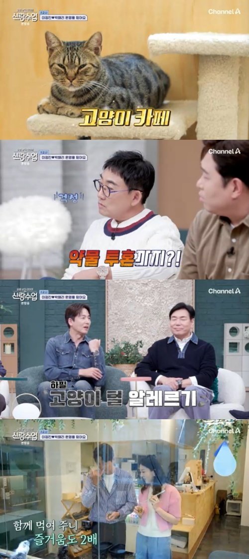 채널A ‘신랑수업’ 캡처