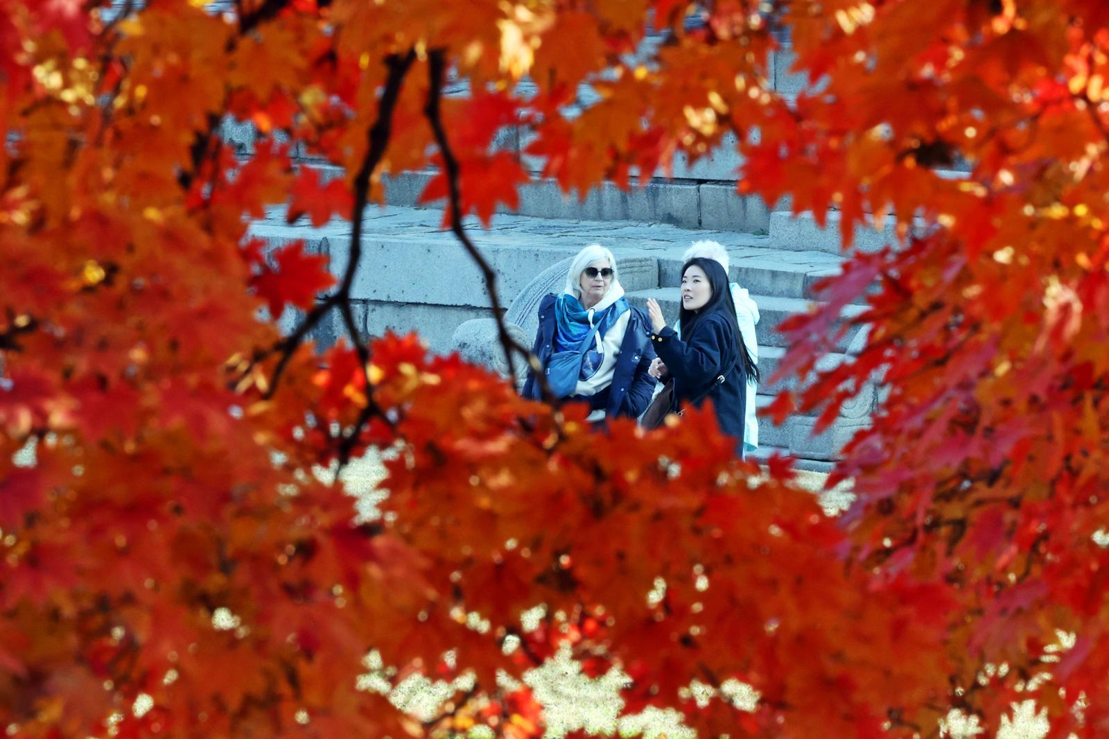 완연한 가을 날씨를 보인 4일 오후 서울 중구 덕수궁에서 외국인 관광객들이 단풍과 함께 즐거운 시간을 보내고 있다. 뉴스1