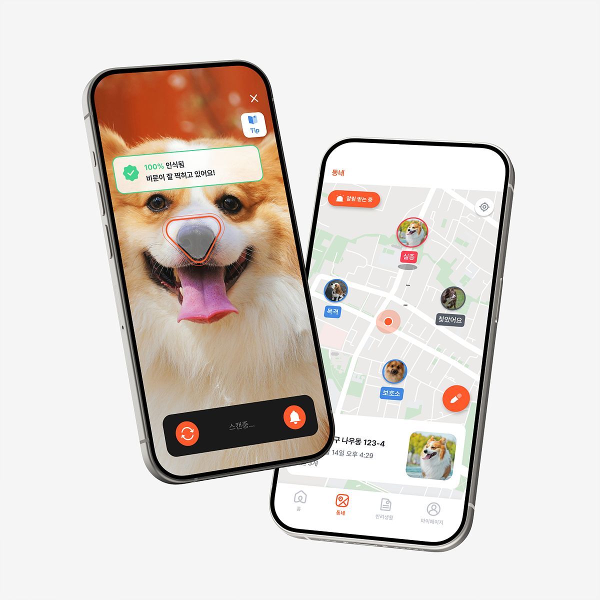 펫나우 앱 / 출처=펫나우